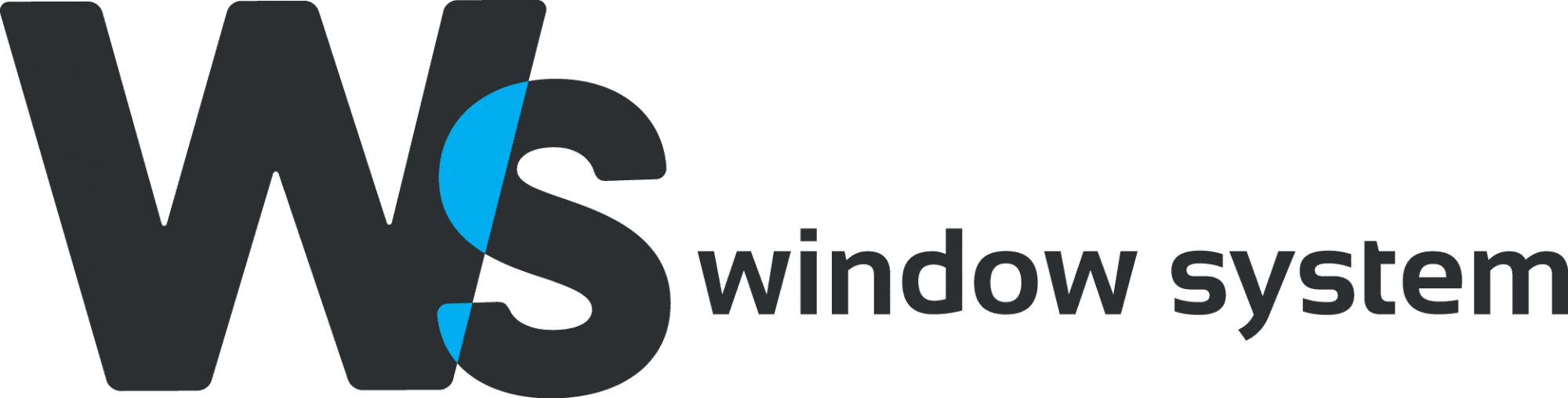 Window System (WS)